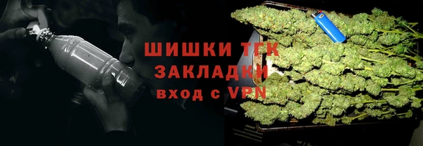 ПСИЛОЦИБИНОВЫЕ ГРИБЫ Аркадак