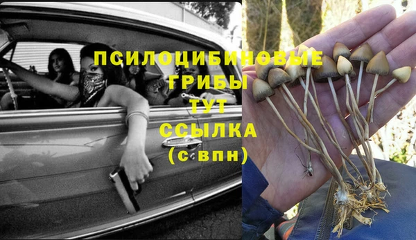 МДПВ Армянск