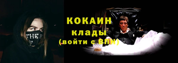 прущая мука Арсеньев