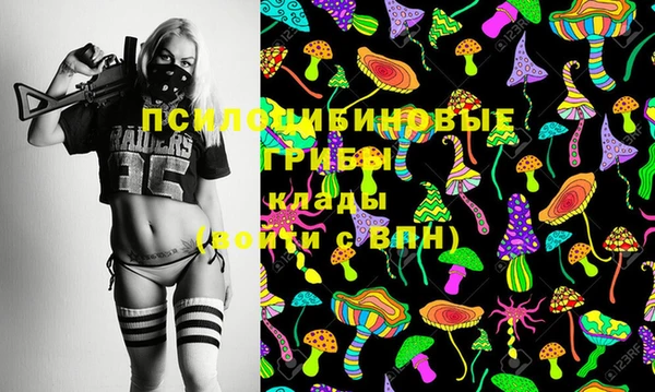 МДПВ Армянск