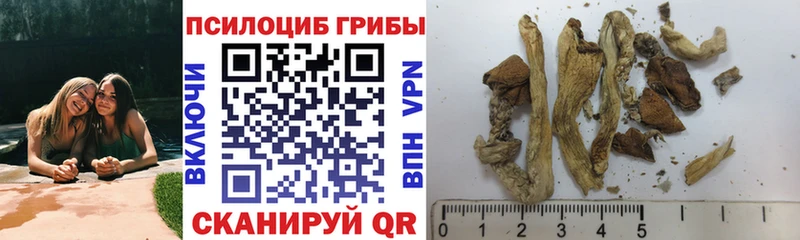 Галлюциногенные грибы GOLDEN TEACHER  Межгорье 